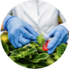 bioactive icon